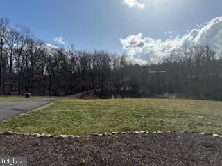 441 Shady Creek Road Clear Brook, VA 22624 - Photo 6 of 46 a view of a big yard