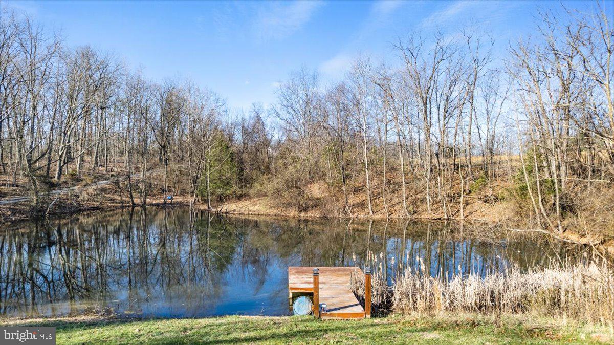 441 Shady Creek Road Clear Brook, VA 22624 - Photo 7 of 46 a lake view with a yard