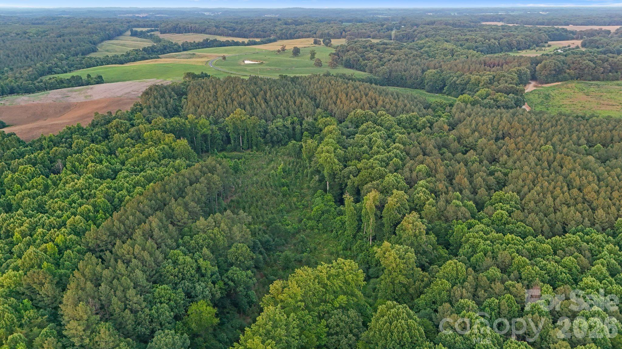 0 Lucy Short Cut Road, Unit 3 Marshville, NC 28103 - Photo 39 of 47