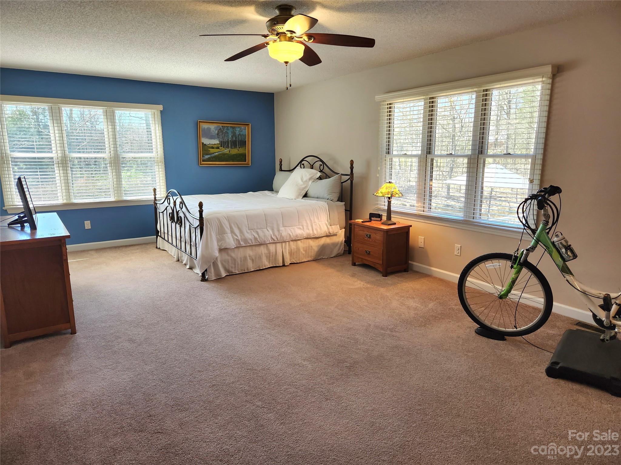 1101 Running Brook Road Midland, NC 28107 - Photo 20 of 48 a bedroom with furniture and a window