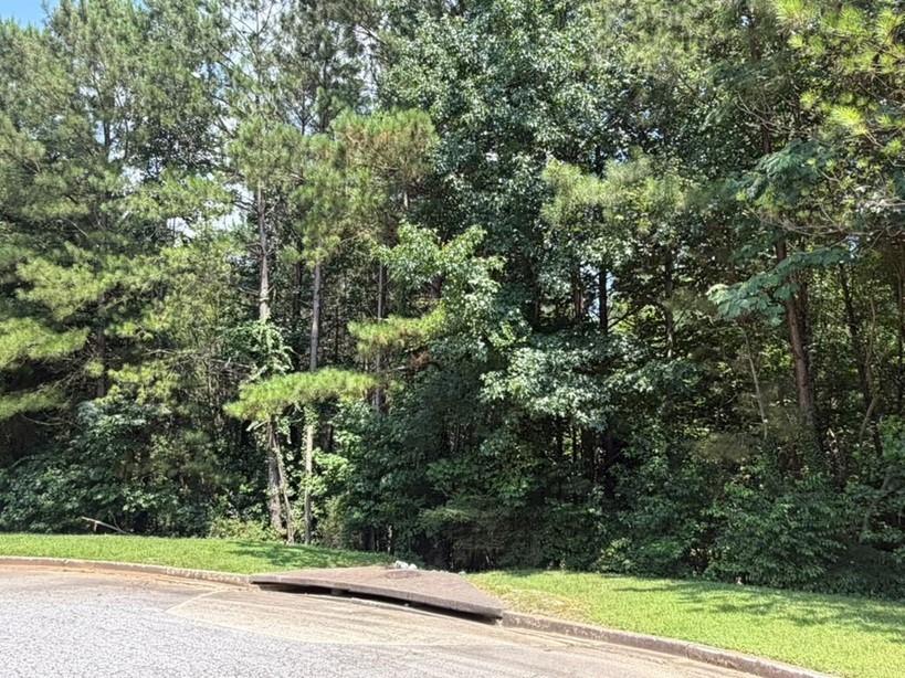 0 Lyon Boulevard Southwest Atlanta, GA 30331 - Photo 2 of 6