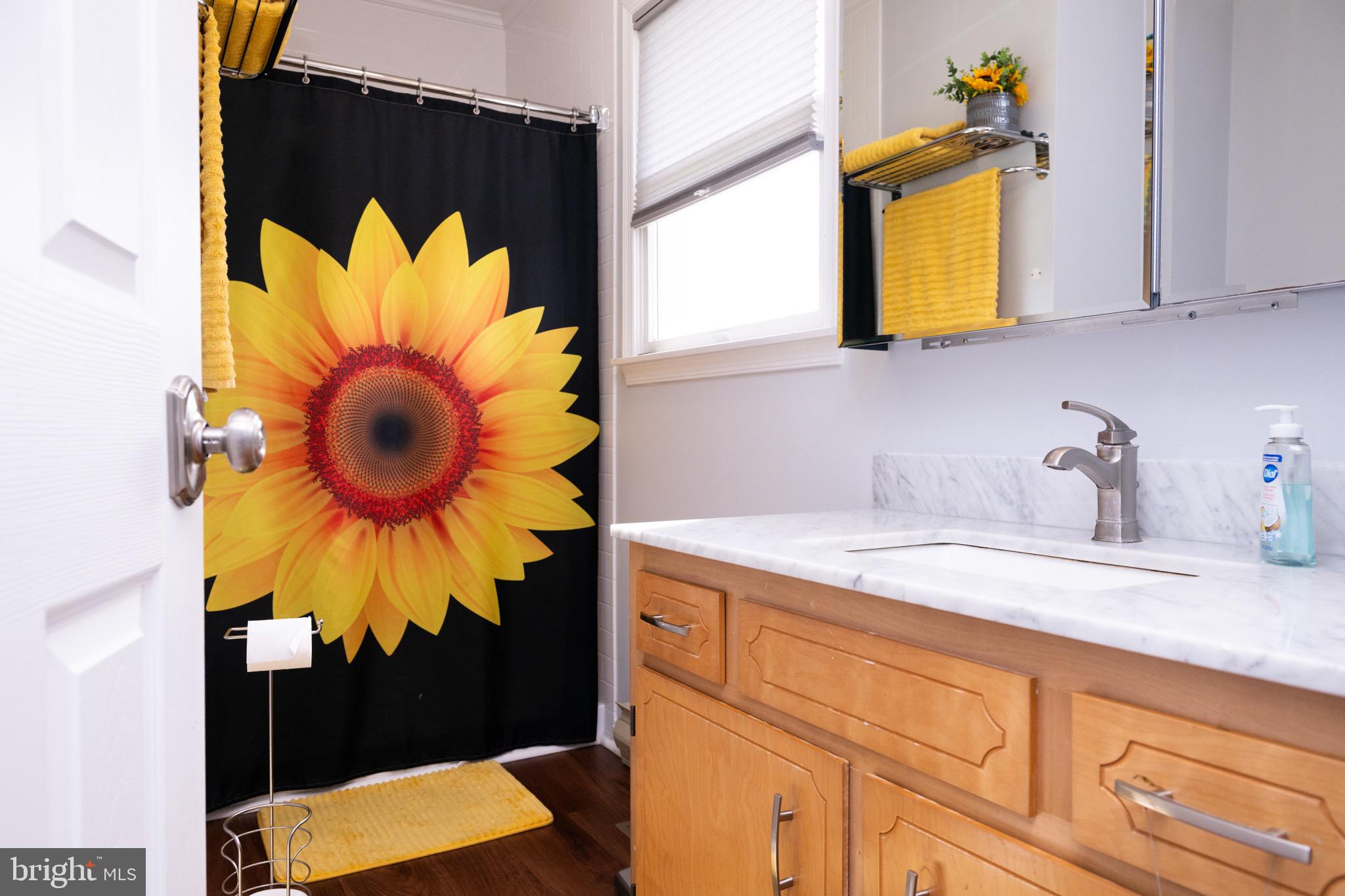 22400 Zoar Road Georgetown, DE 19947 - Photo 25 of 32 a bathroom with a sink and a mirror
