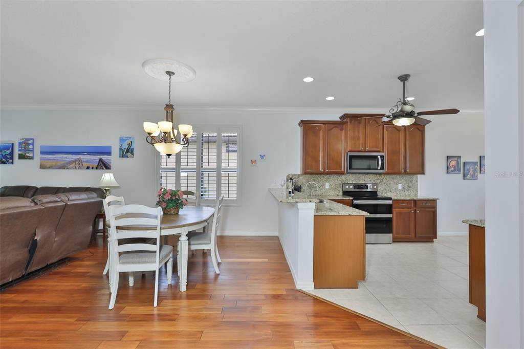 147 Silver Falls Drive Apollo Beach, FL 33572 - Photo 12 of 72