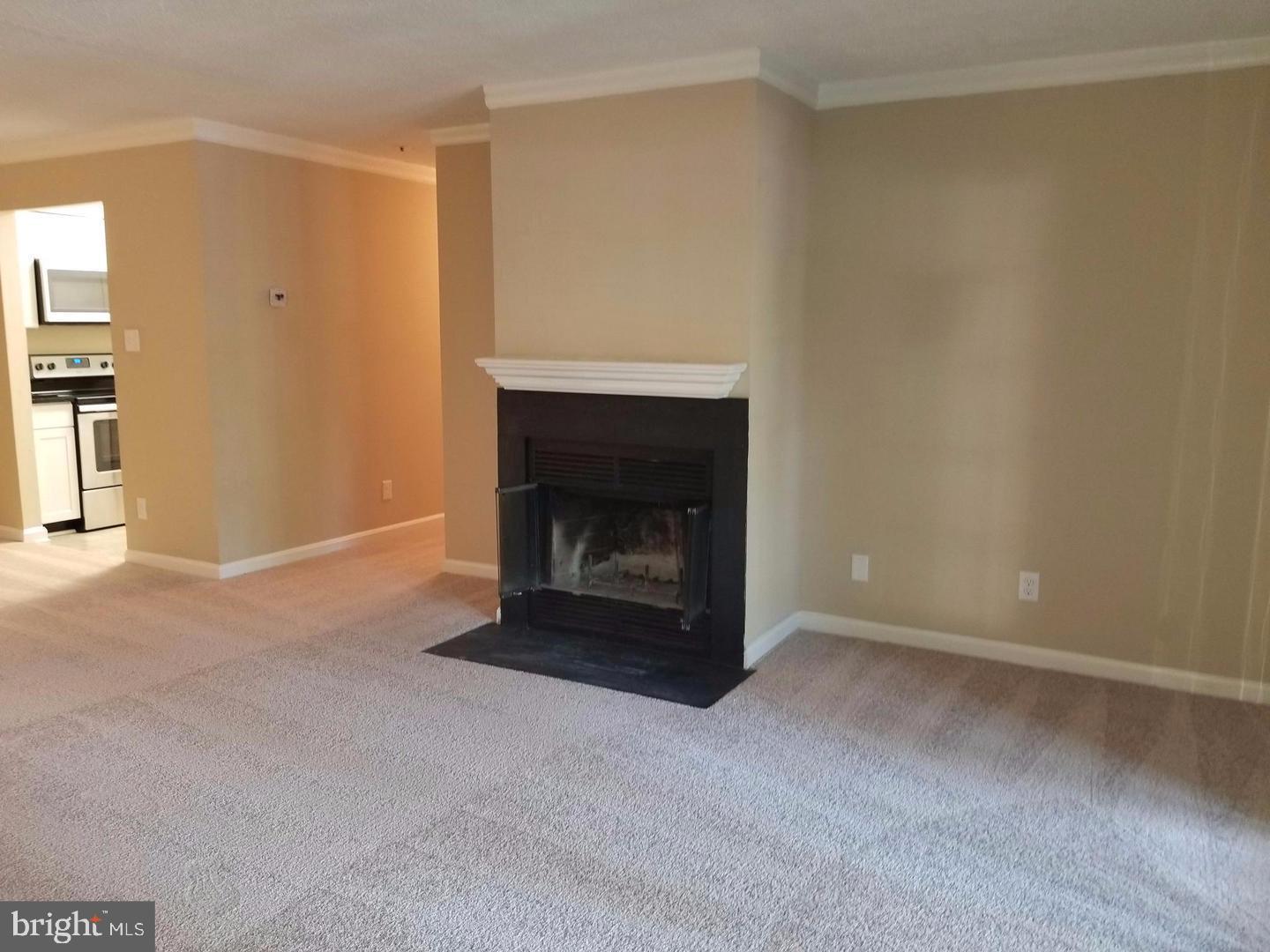 4934 Columbia Road, Unit 458 Columbia, MD 21044 - Photo 8 of 21 Cozy living space with inviting fireplace.