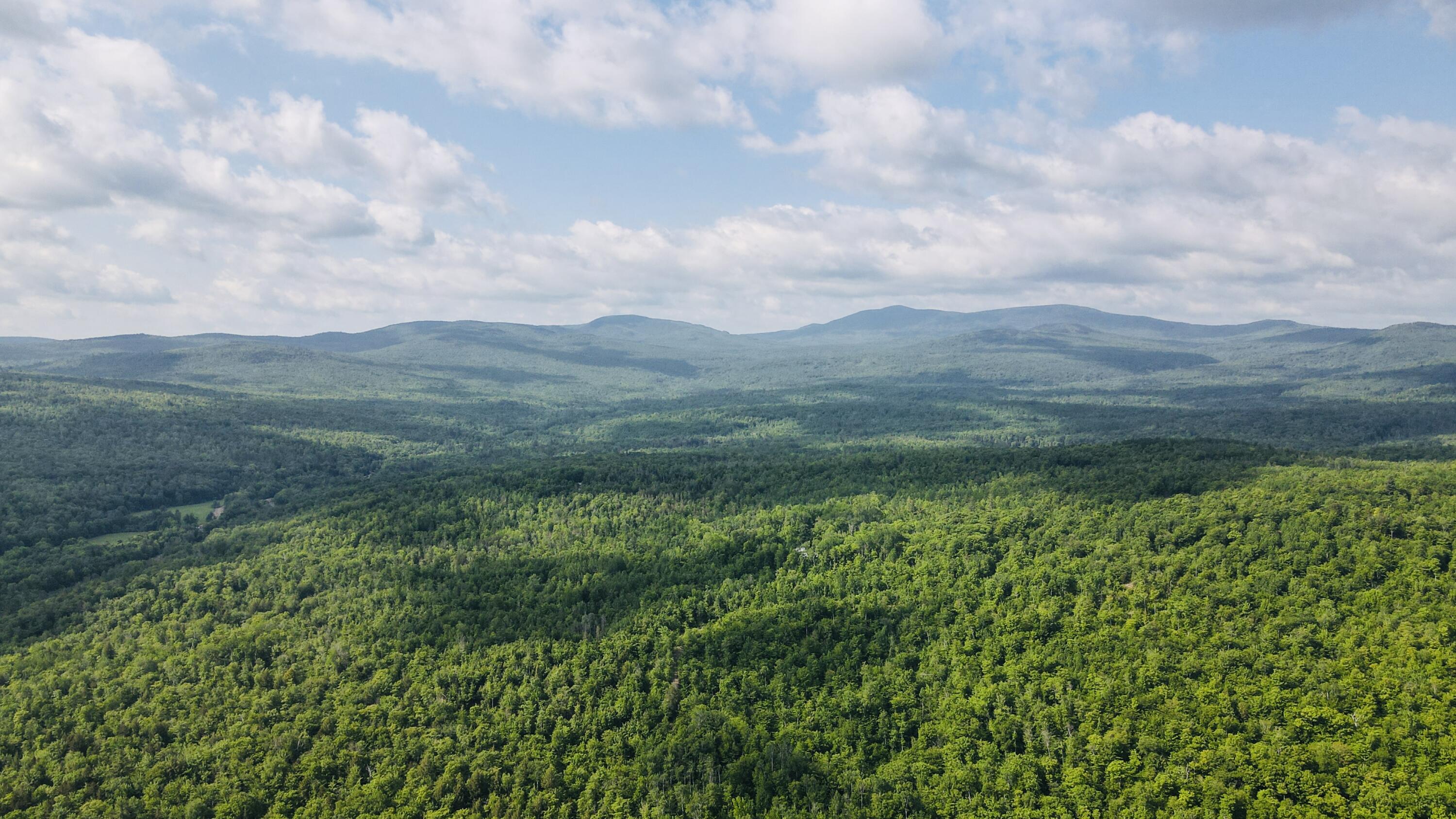 Lot #4 Mooseley Ridge Road Phillips, ME 04966 - Photo 10 of 20