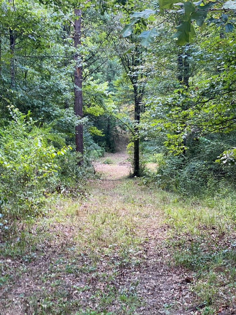 0 White Road Hazlehurst, MS 39083 - Photo 18 of 47 Photo 18