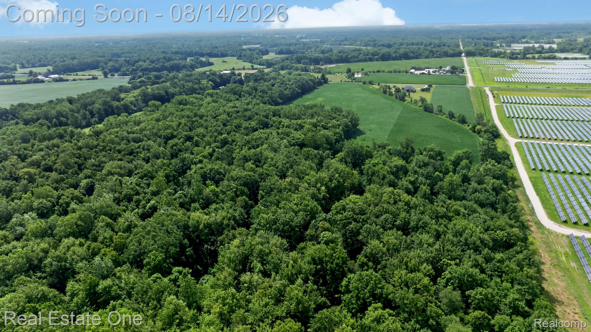 12139 Gooding Road Milan, MI 48160 - Photo 93 of 98 Expansive wooded acreage with mature trees