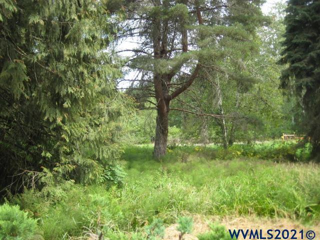 24002 South Engstrom Road Colton, OR 97017 - Photo 17 of 36