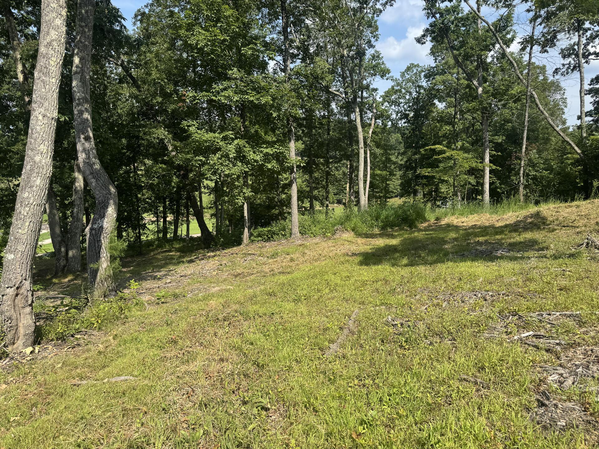 56 Golf Course Road, Unit TRACT 14 SKYLINEACRES) Waverly, OH 45690 - Photo 27 of 51 CT-27