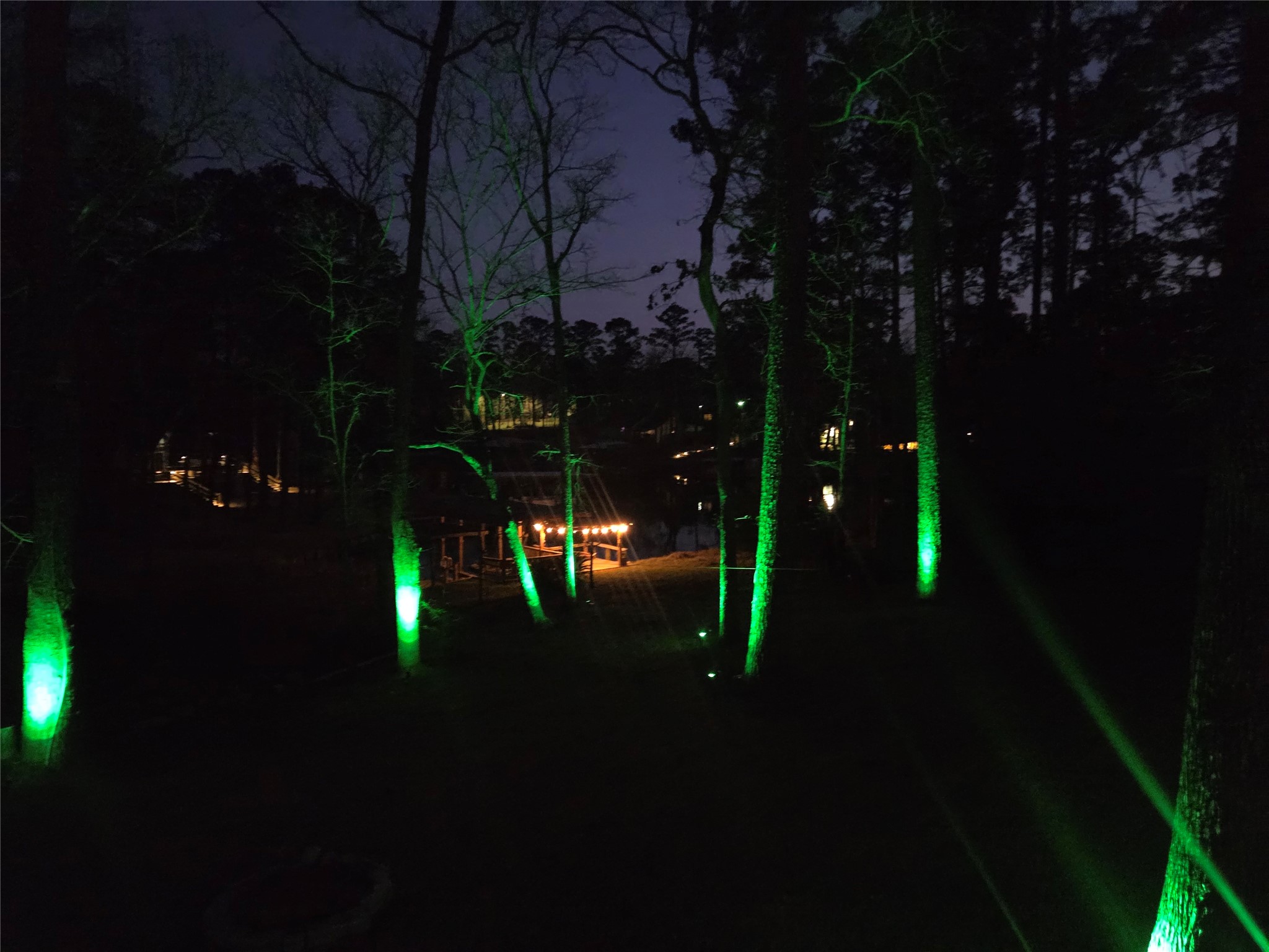 59 Paradise Loop Point Blank, TX 77364 - Photo 38 of 41 Lighting on the exterior trees for visibility at night.