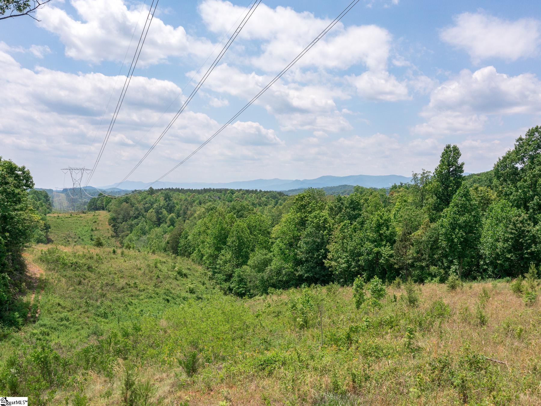 31 West Ridge Drive Travelers Rest, SC 29690 - Photo 8 of 8