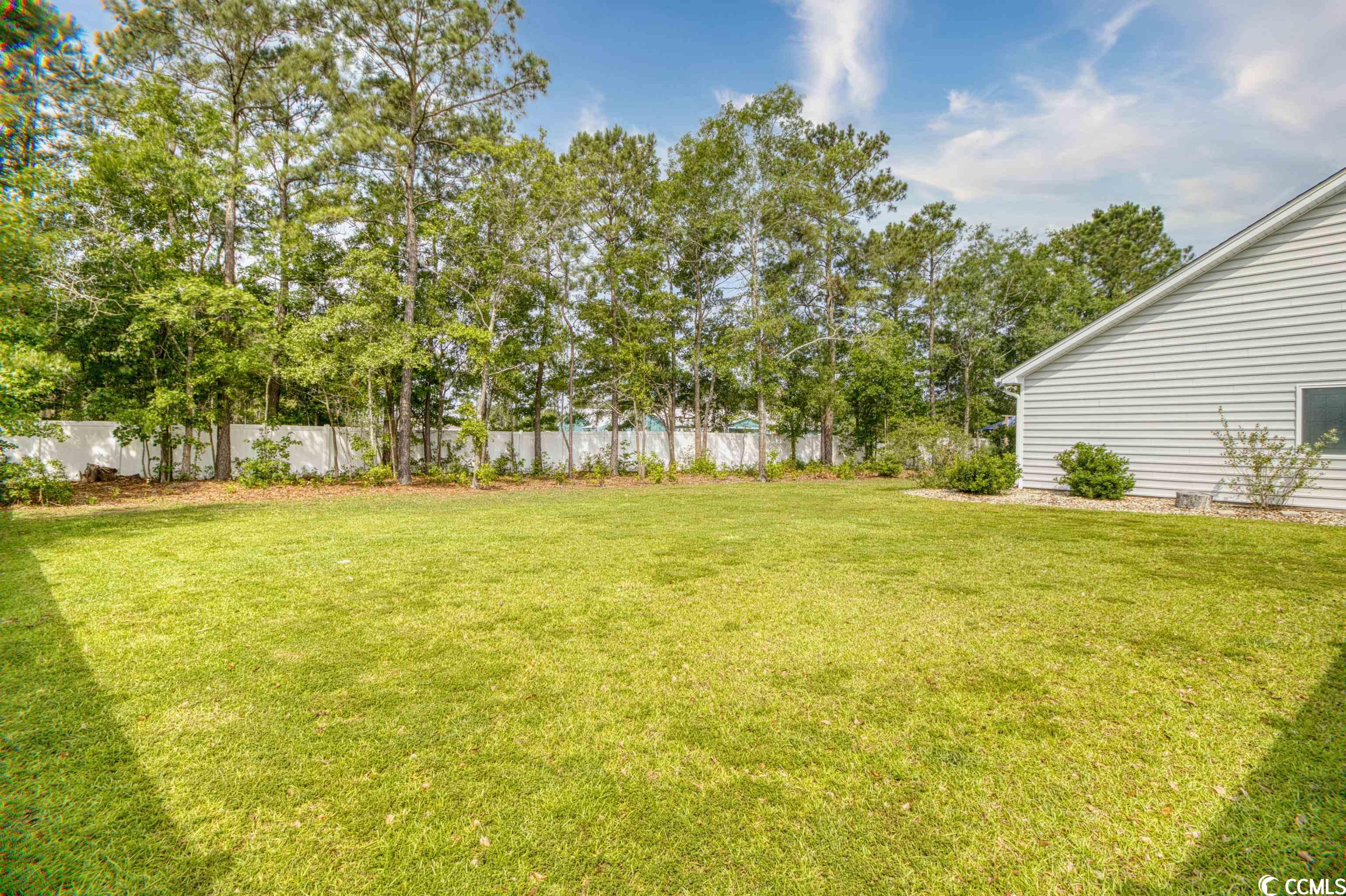 206 Marsh Tacky Loop Myrtle Beach, SC 29588 - Photo 39 of 40