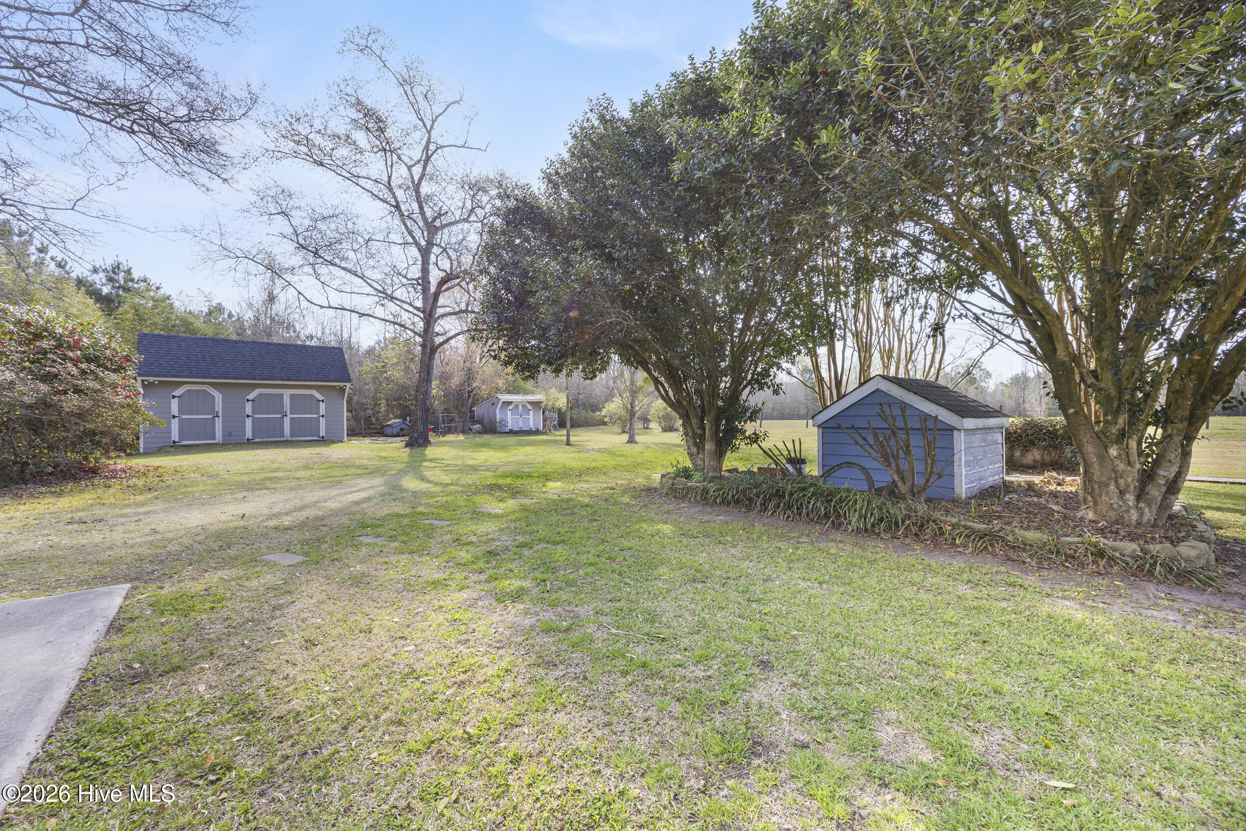 2222 John Henry Store Road Currie, NC 28435 - Photo 41 of 50 39_backyard