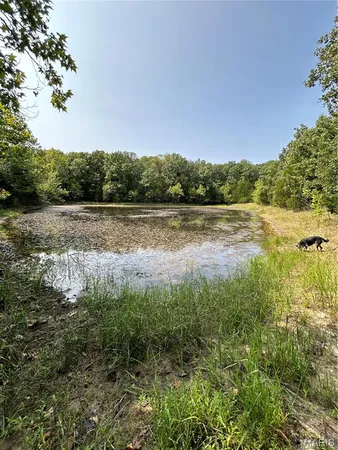 $979,900 | 11916 Brainerd, Crocker, MO 65452