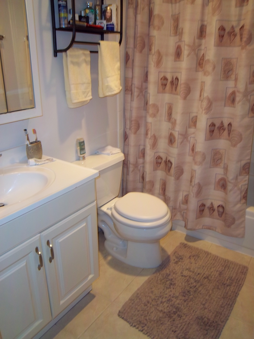 924 Ridge Square, Unit 211 Elk Grove Village, IL 60007 - Photo 7 of 8