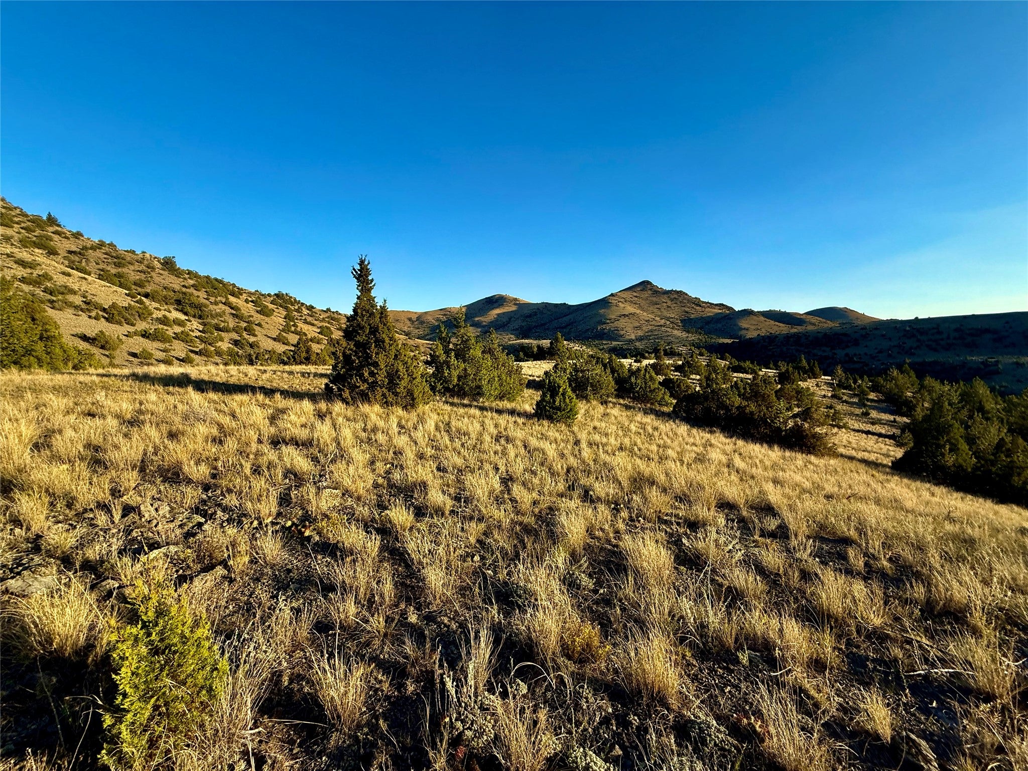 Tbd Tbd Johnny Gulch Road Toston, MT 59643 - Photo 2 of 48 Gallery Image 2
