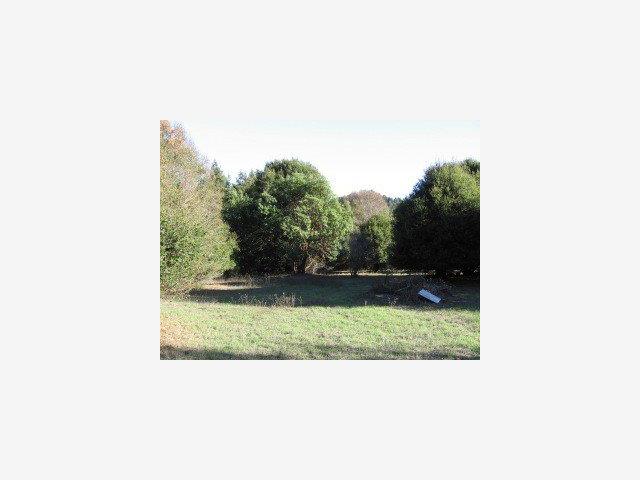 0 Tola Ranch Road Soquel, CA 95073 - Photo 1 of 7 Gallery Image 1