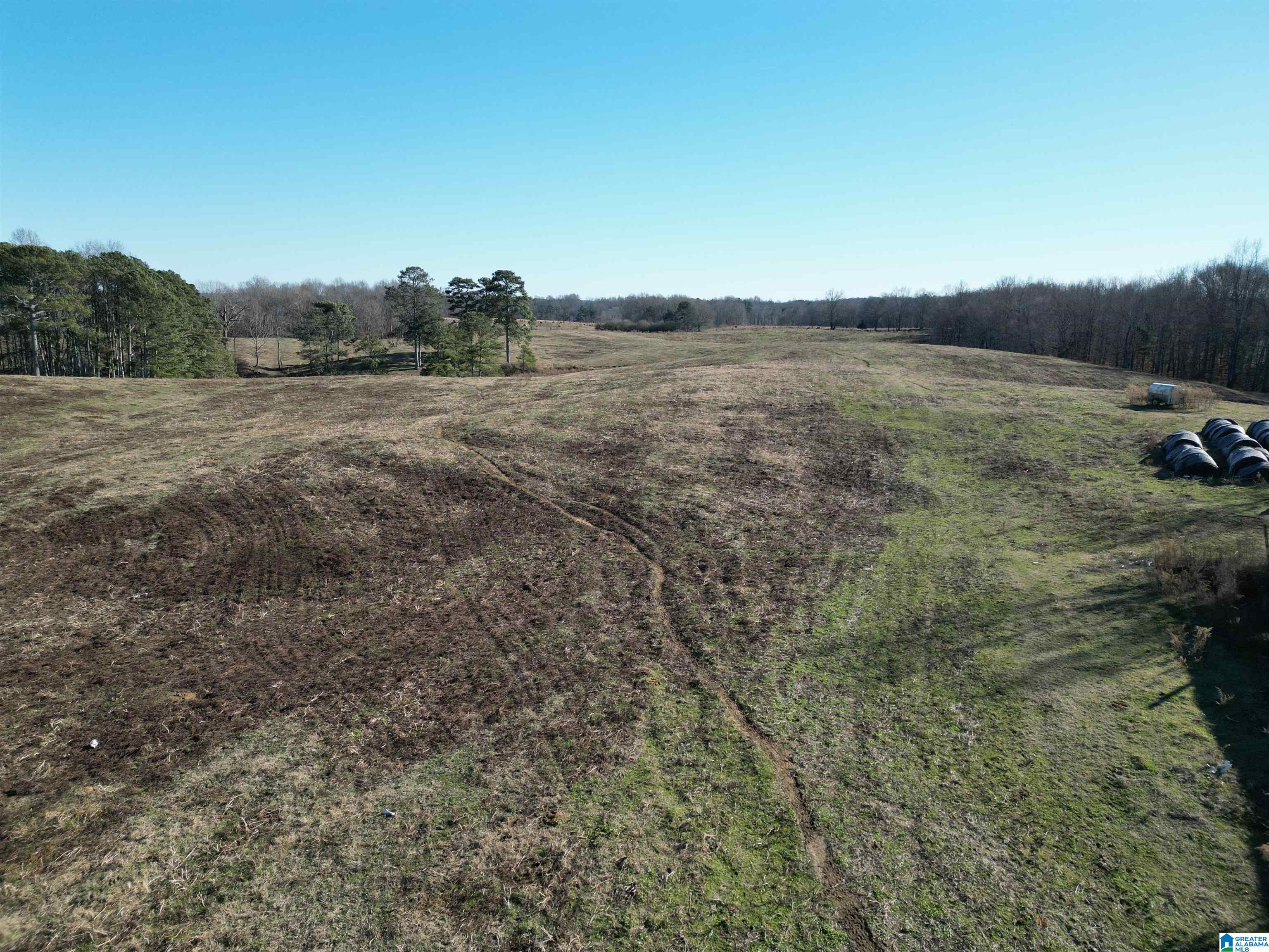 682 County Road 832 Logan, AL 35098 - Photo 16 of 48
