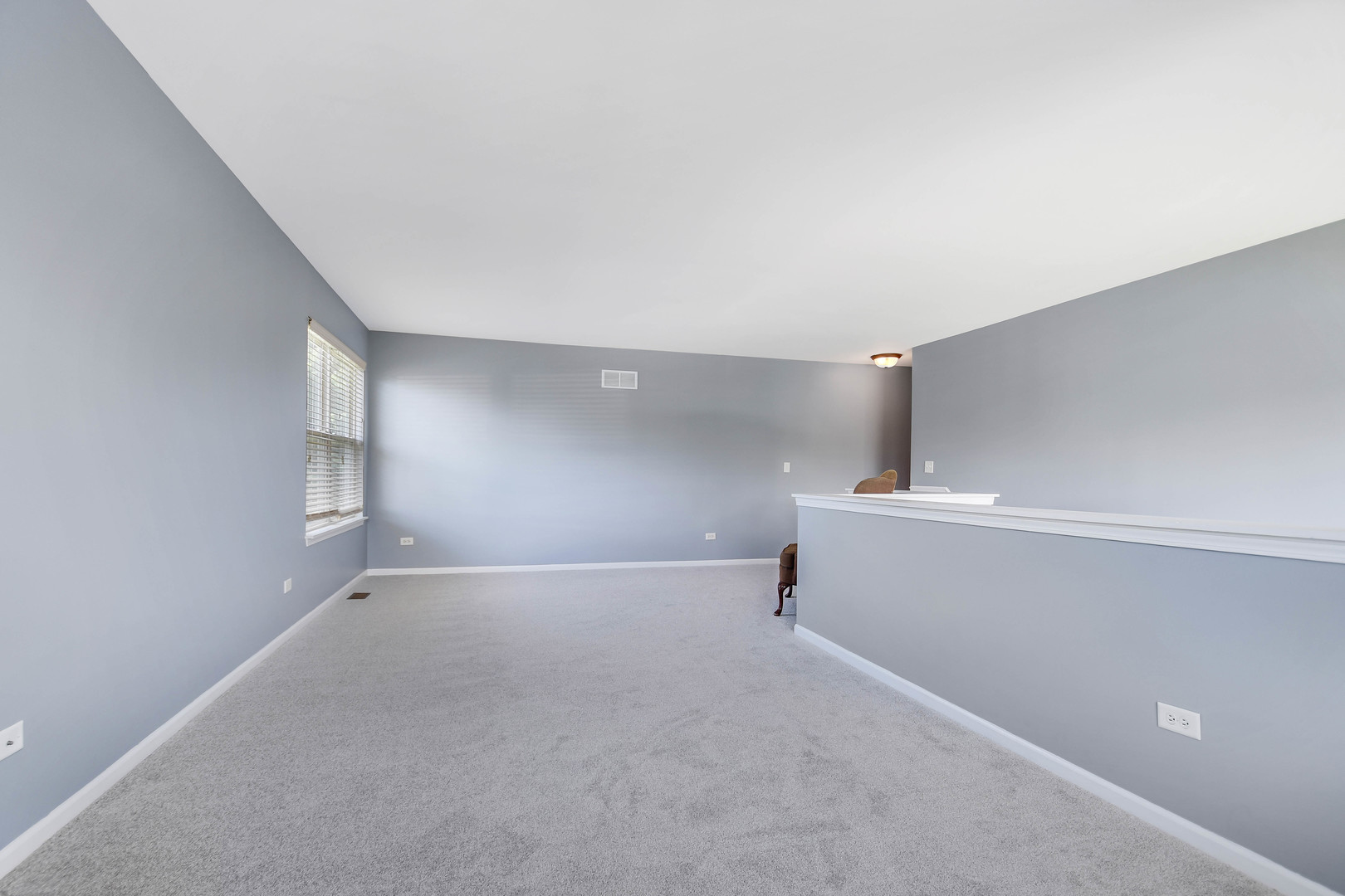 1640 Rose Lane Romeoville, IL 60446 - Photo 18 of 40