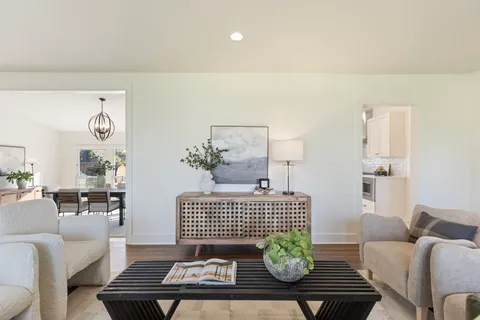 a living room with furniture and a potted plant