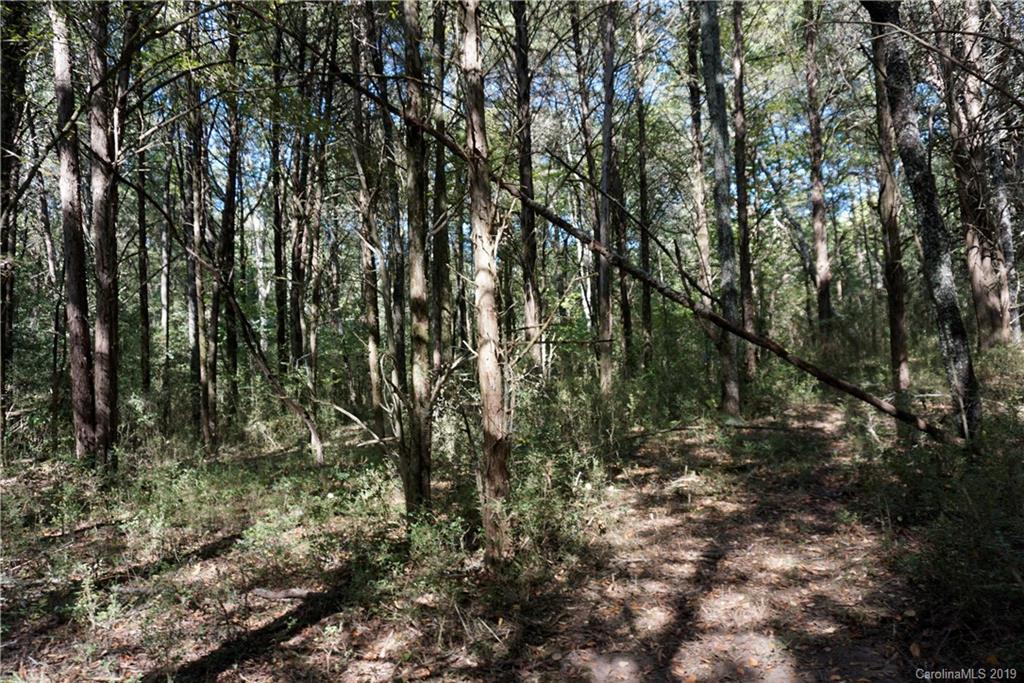 17 Saluda Road, Unit 2 Chester, SC 29706 - Photo 5 of 12 a view of a yard with a tree
