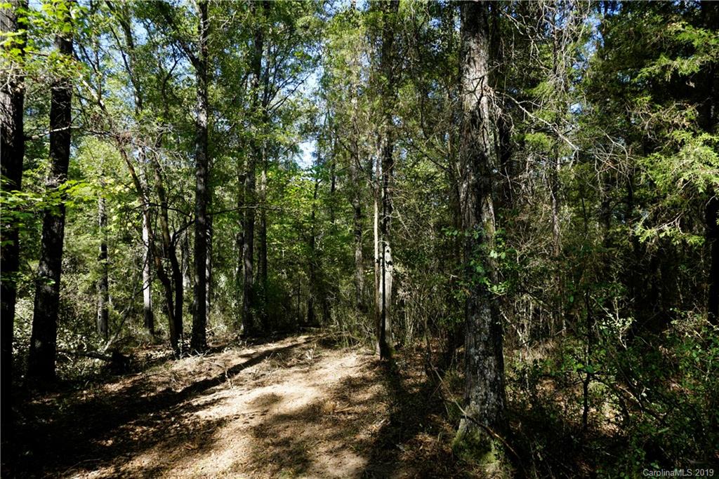 17 Saluda Road, Unit 2 Chester, SC 29706 - Photo 6 of 12 a view of a forest with trees