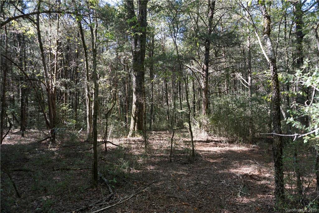 17 Saluda Road, Unit 2 Chester, SC 29706 - Photo 8 of 12 a view of outdoor space with trees
