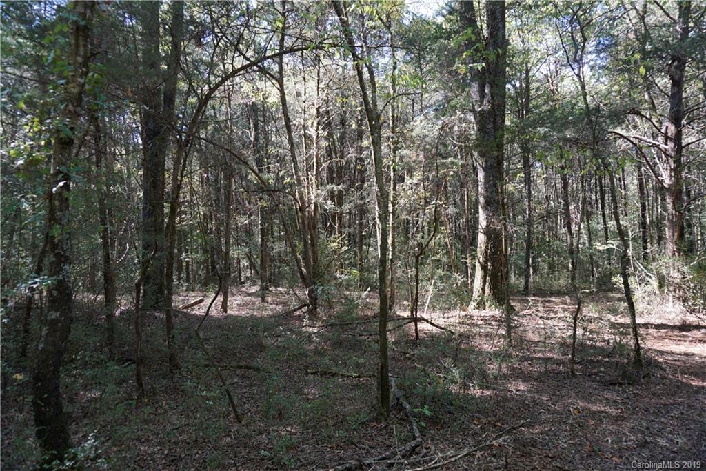 17 Saluda Road, Unit 2 Chester, SC 29706 - Photo 9 of 12 a view of a forest with trees in the background