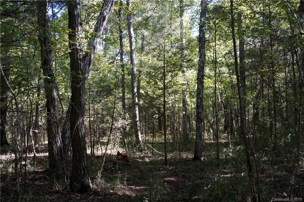 17 Saluda Road, Unit 2 Chester, SC 29706 - Photo 10 of 12 a view of forest