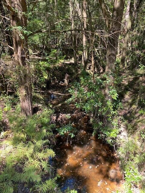 689 Miles Martin Road DeFuniak Springs, FL 32435 - Photo 8 of 14 creek