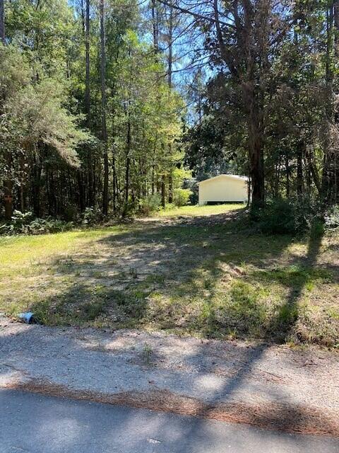 689 Miles Martin Road DeFuniak Springs, FL 32435 - Photo 9 of 14 2