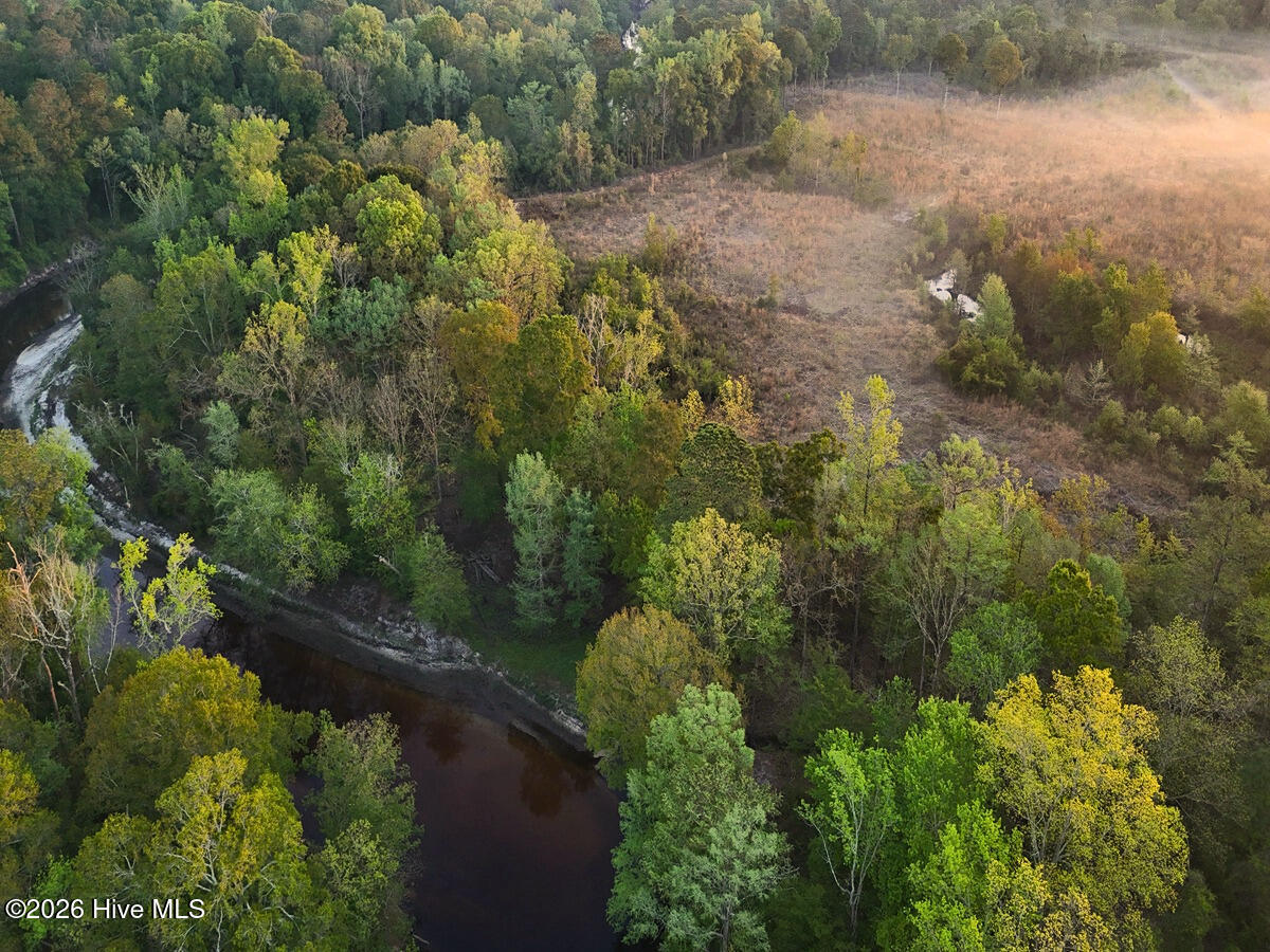 0 Durwood Evans Road Beulaville, NC 28518 - Photo 45 of 68 45.