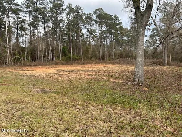 $26,000 | 1028 Chester Reeves Road, McComb, MS 39648