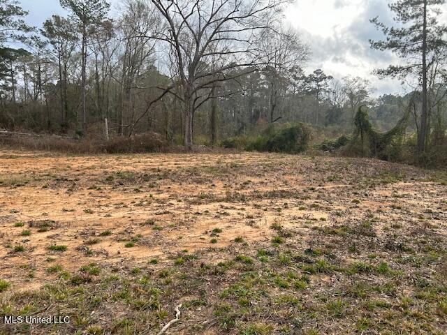 1028 Chester Reeves Road McComb, MS 39648 - Photo 2 of 4 IMG_1544