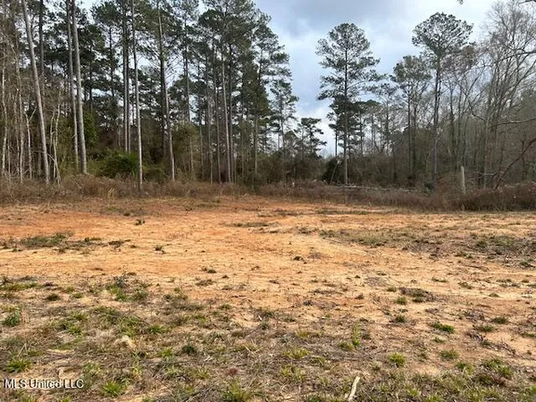 $26,000 | 1028 Chester Reeves Road, McComb, MS 39648