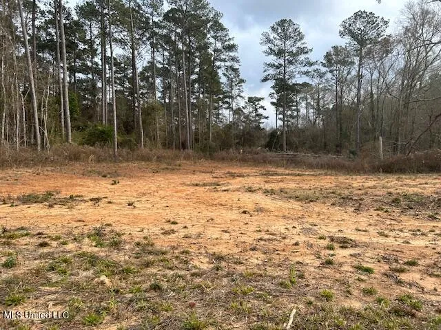 $26,000 | 1028 Chester Reeves Road, McComb, MS 39648