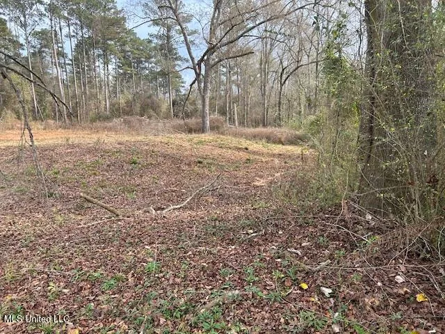 $26,000 | 1028 Chester Reeves Road, McComb, MS 39648