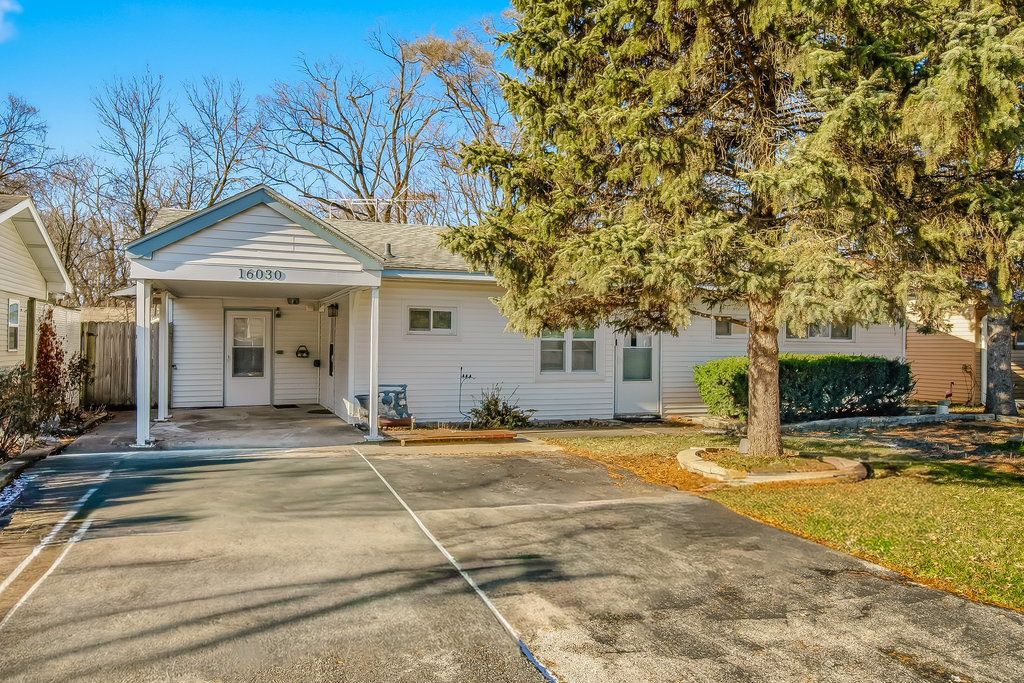 a view of a white house with a large tree and plants