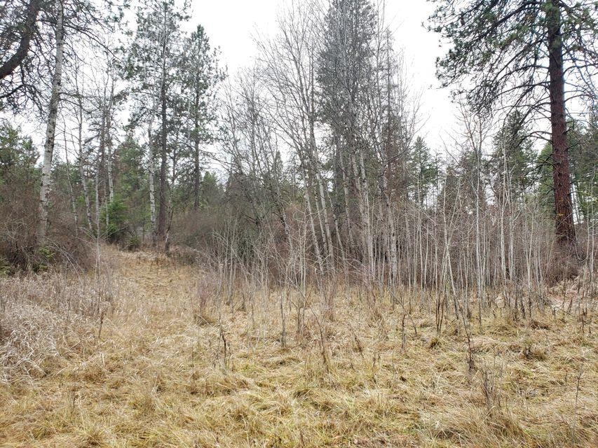 40 X Graham Road Colville, WA 99114 - Photo 8 of 14
