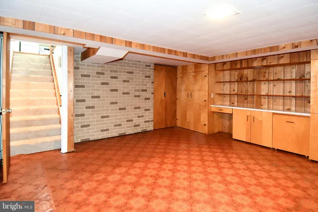 a view of a yard with plants and large trees