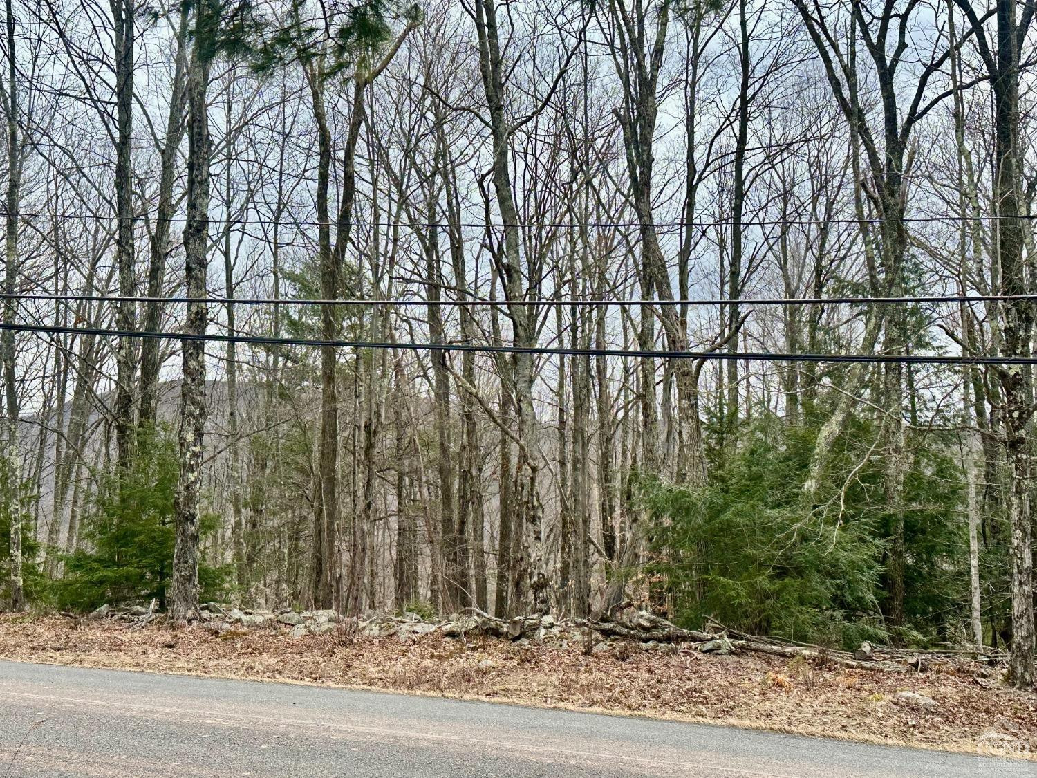 611 Old Road Windham, NY 12496 - Photo 2 of 9 Photo 2