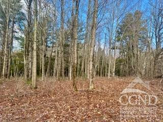 611 Old Road Windham, NY 12496 - Photo 5 of 9 Photo 5