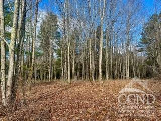 611 Old Road Windham, NY 12496 - Photo 6 of 9 Photo 6