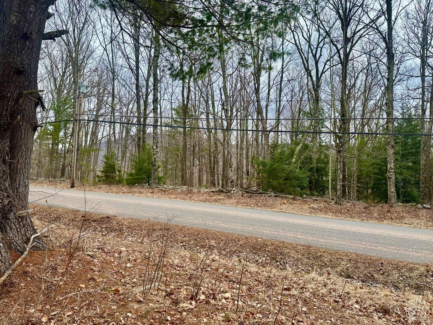 611 Old Road Windham, NY 12496 - Photo 8 of 9 Photo 8