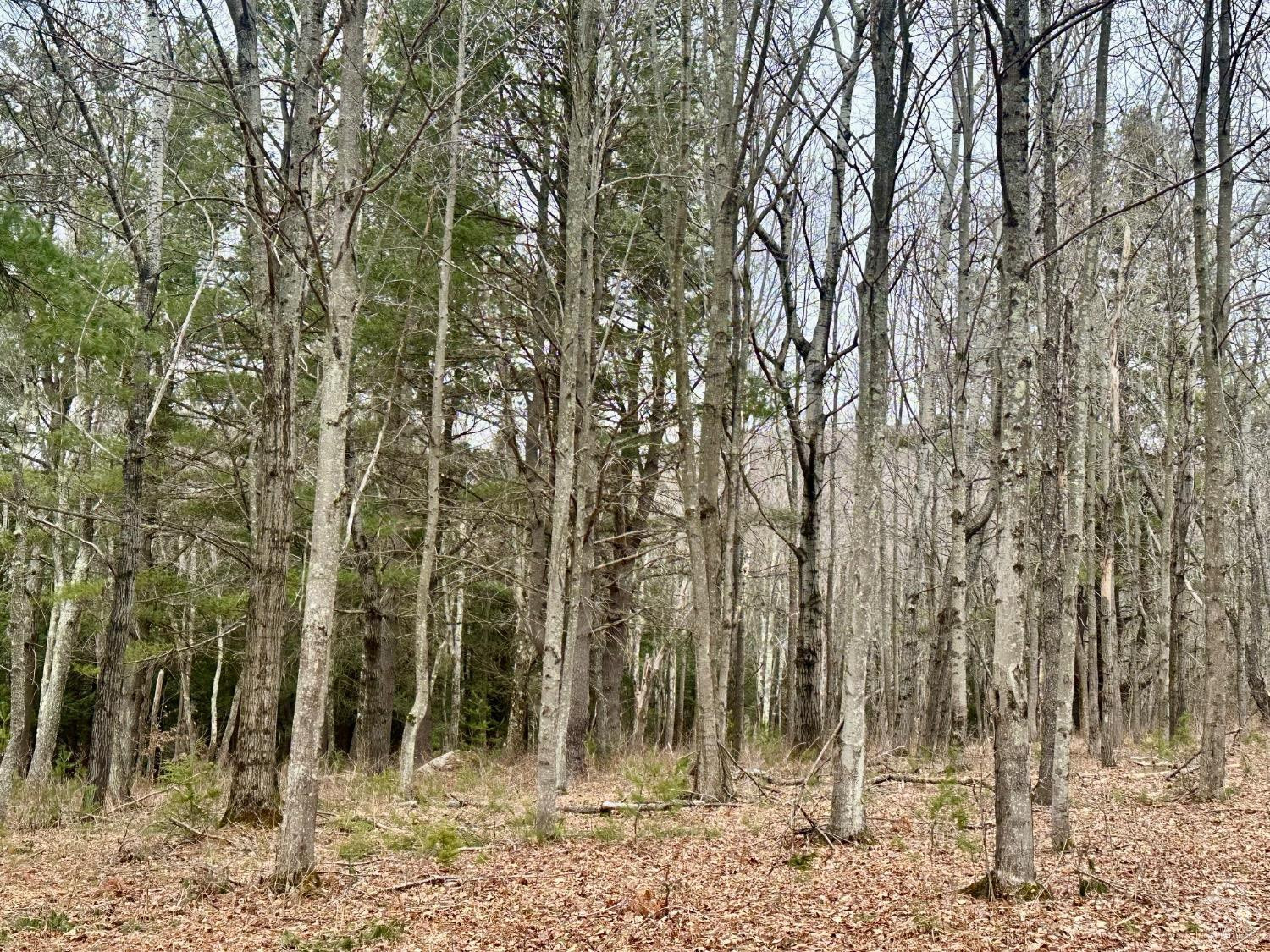 611 Old Road Windham, NY 12496 - Photo 9 of 9 Photo 9