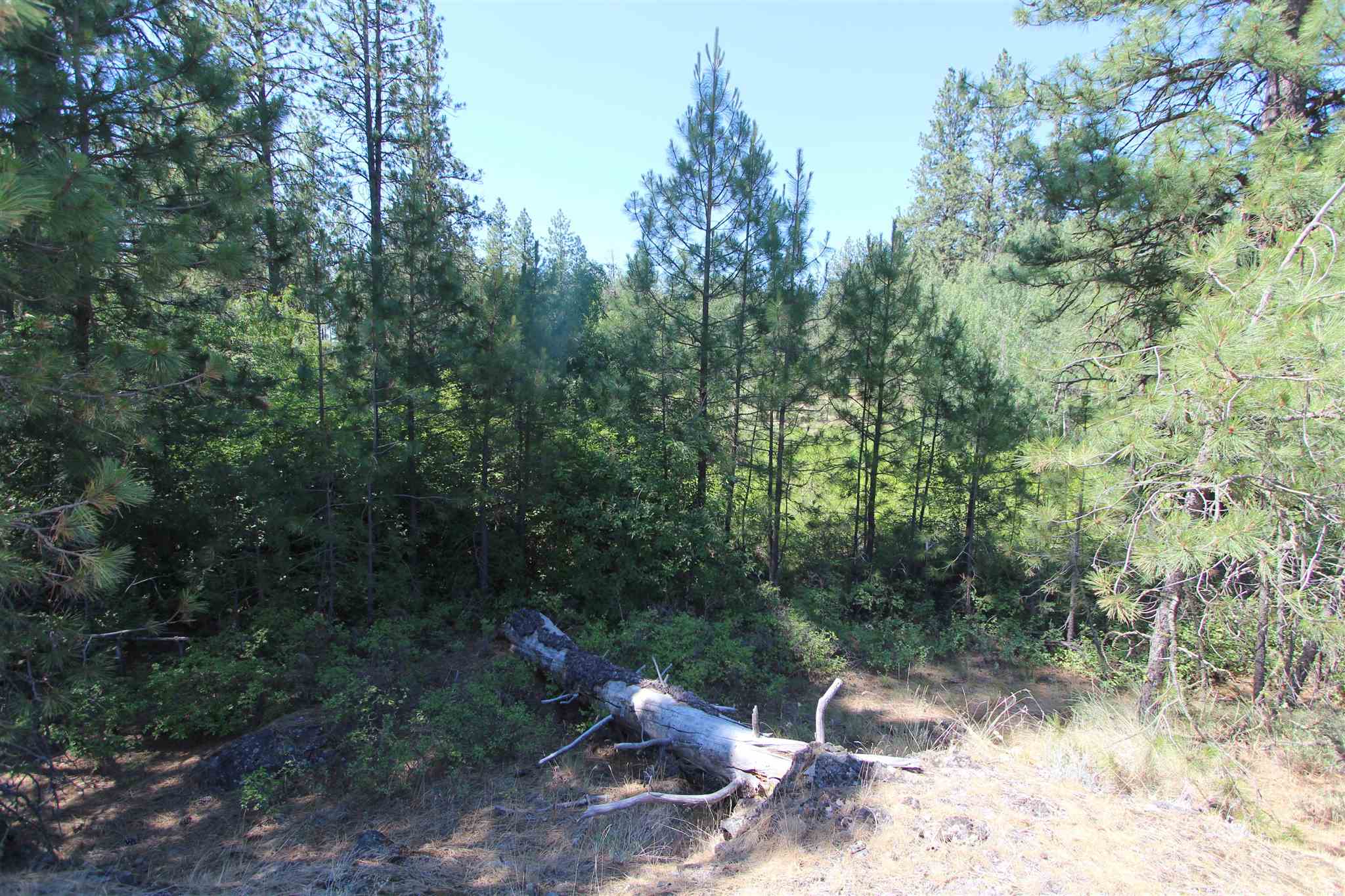 223-xx2 West Malloy Prairie Road Cheney, WA 99004 - Photo 2 of 9 Gallery Image 2