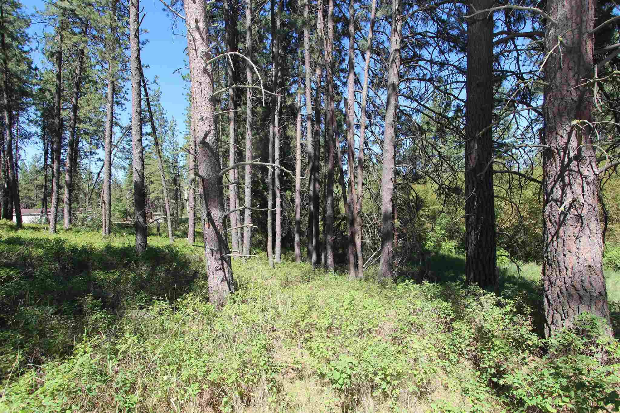 223-xx2 West Malloy Prairie Road Cheney, WA 99004 - Photo 9 of 9 Gallery Image 9