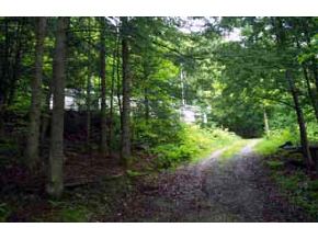 192 Page Hill Road Corinth, VT 05040 - Photo 4 of 6