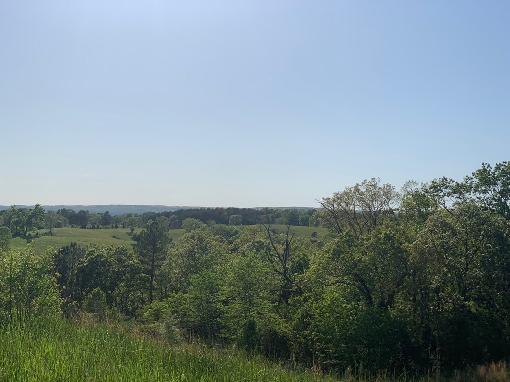 1051 Tom Garrison Road Evensville, TN 37332 - Photo 3 of 23 Gallery Image 3