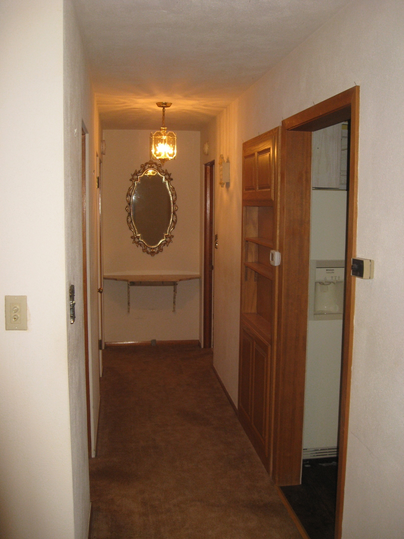 517 North Reed Street Joliet, IL 60435 - Photo 9 of 17